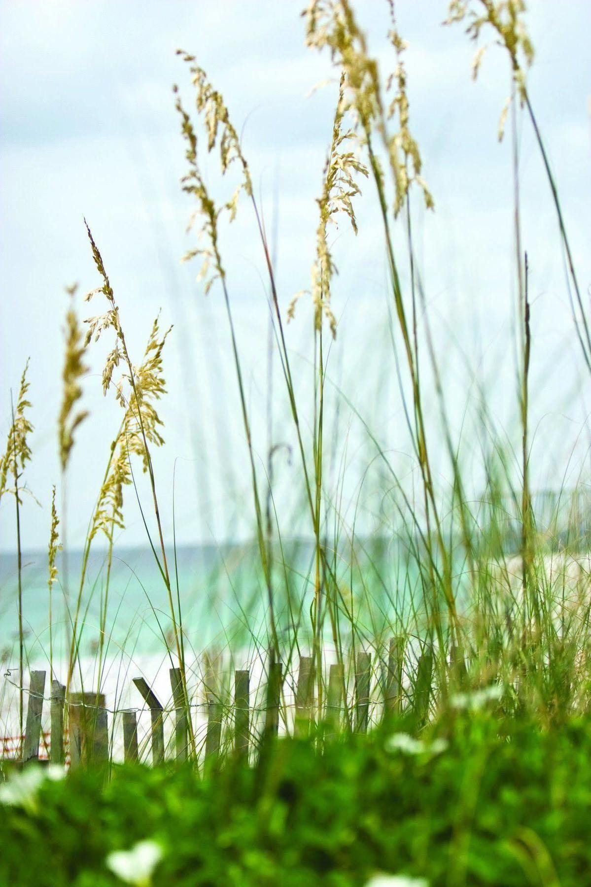 Club Wyndham Beach Street Cottages Miramar Beach Εξωτερικό φωτογραφία